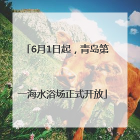 6月1日起，青岛第一海水浴场正式开放
